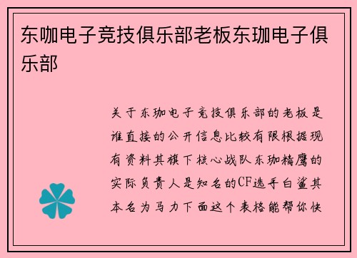 东咖电子竞技俱乐部老板东珈电子俱乐部